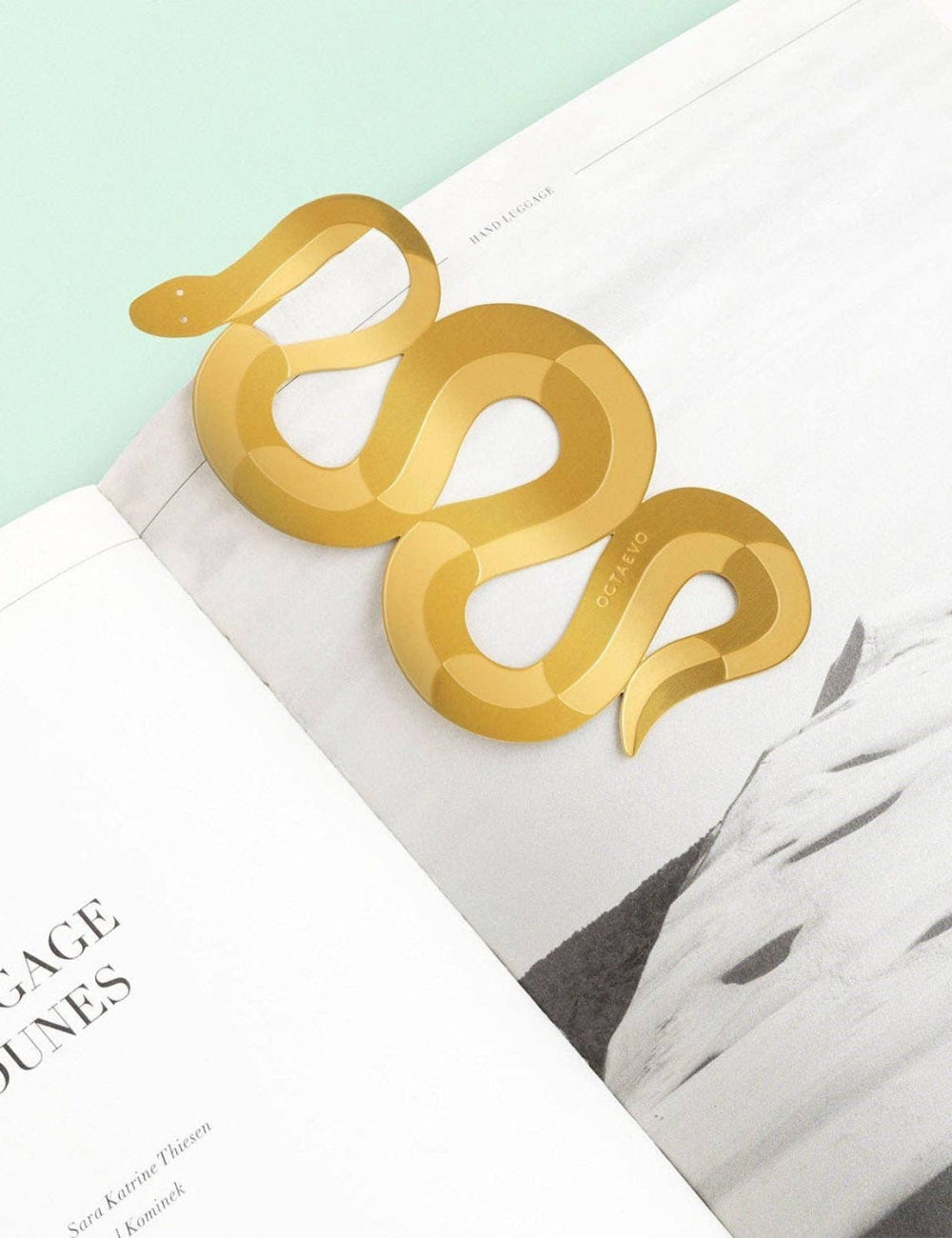 Gold snake-shaped object on a magazine with a light green background