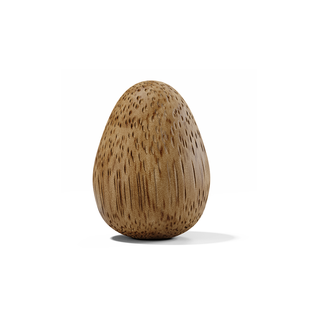 Thinking Egg