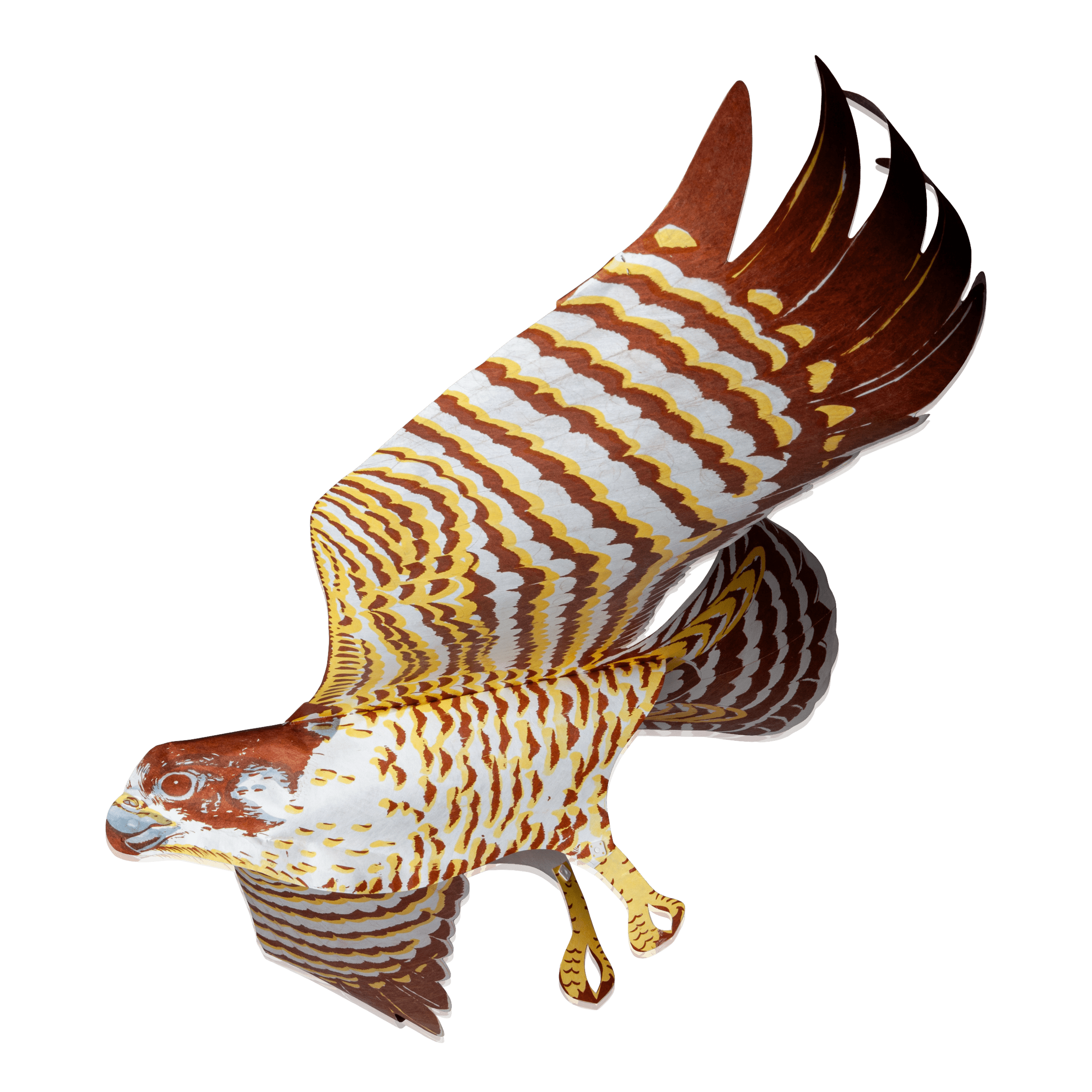 Bird Kites - Falcon