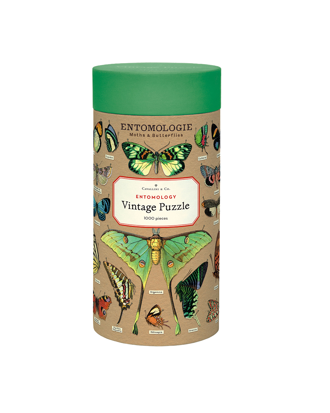 Vintage Entomology Puzzle