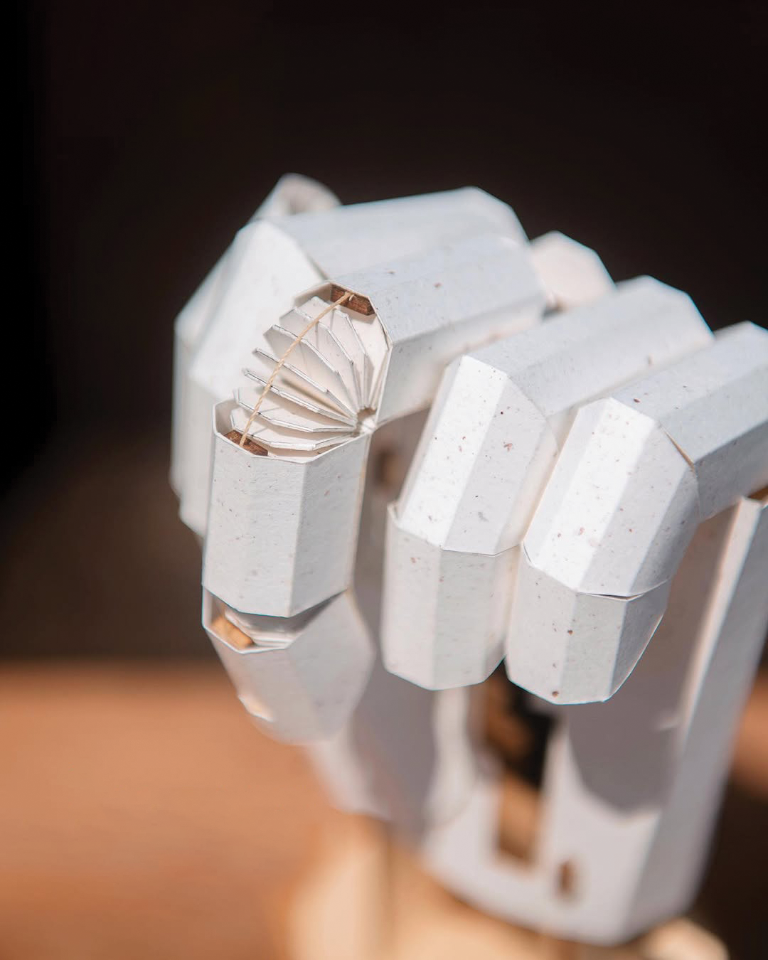 The Finger Automata DIY Kit