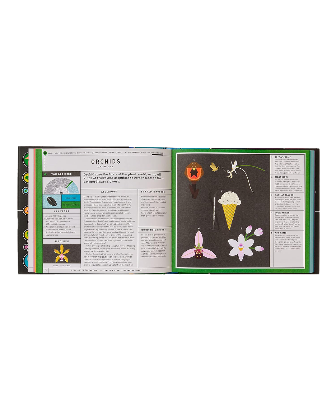 Open book with illustrations and text on a white background