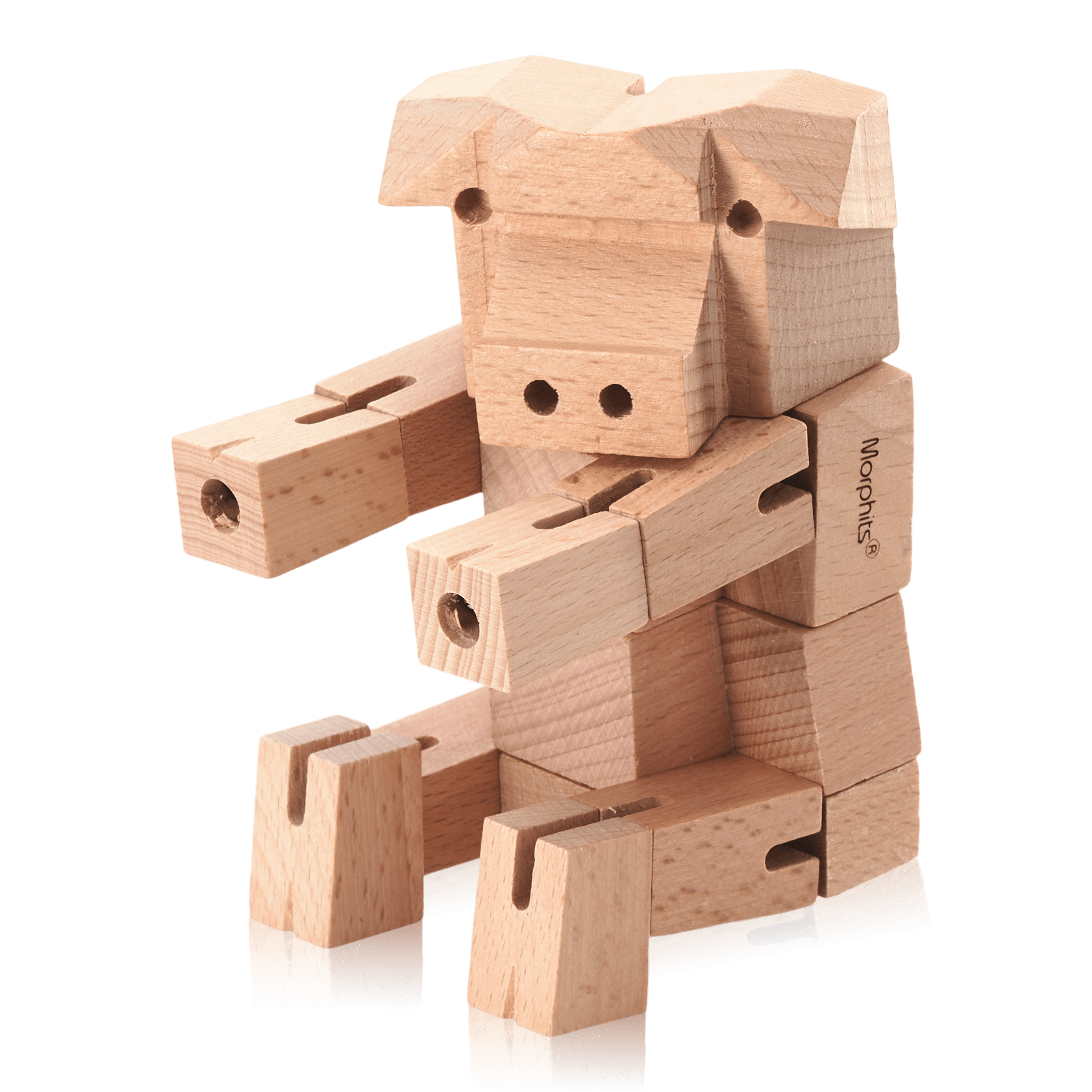 Morphits Pig