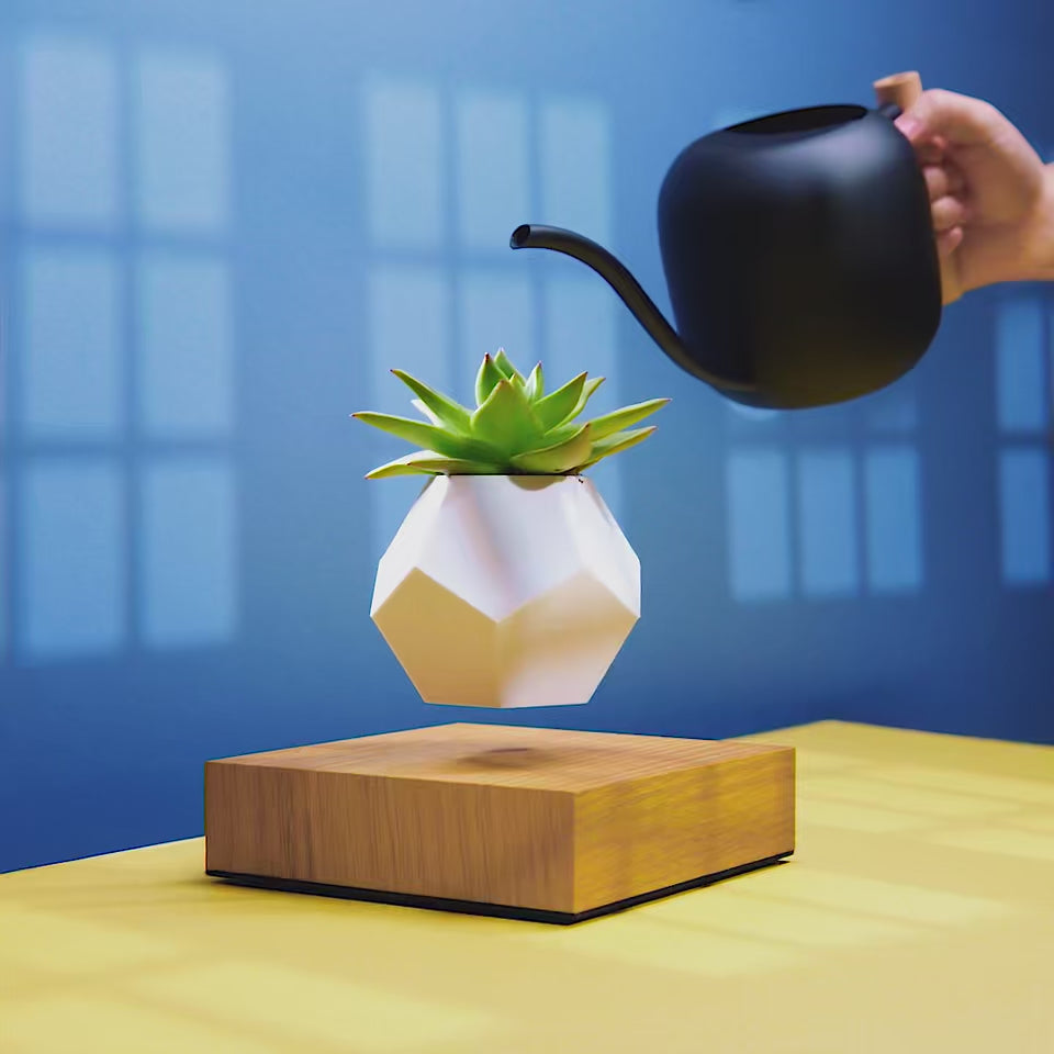 Lyfe floating planter