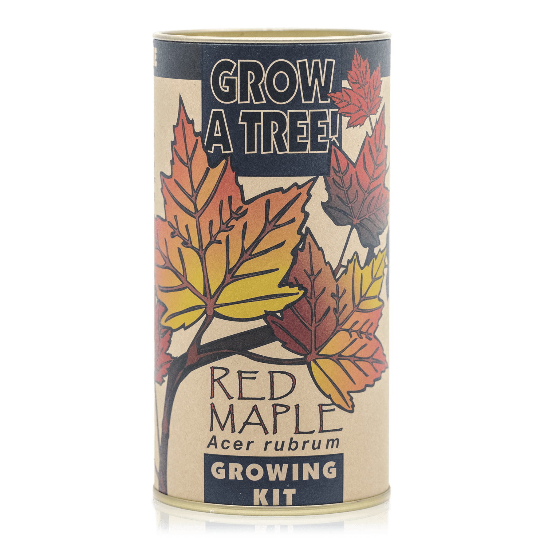 Seed Grow Kit: Red Maple