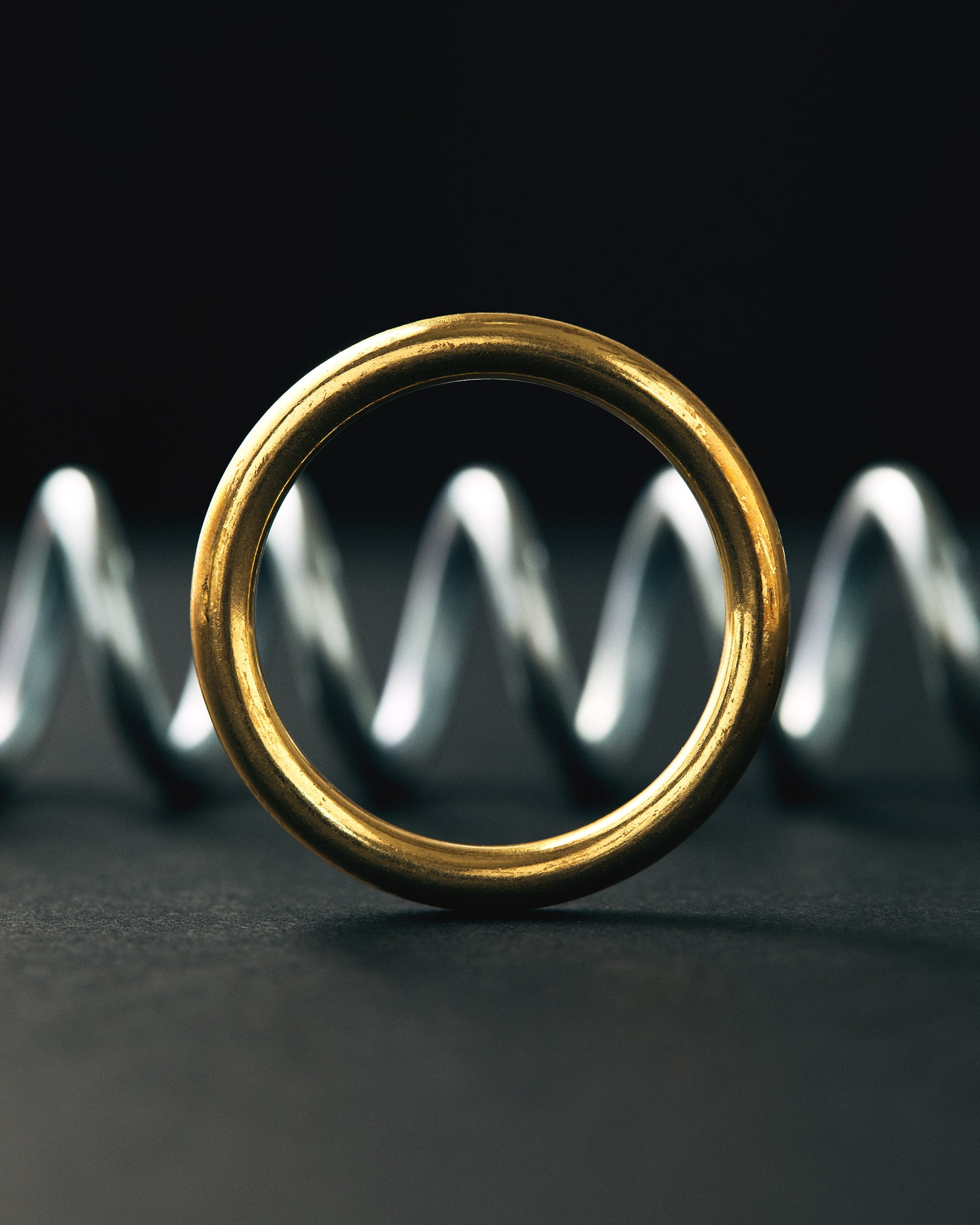 Ring & Spring Puzzle