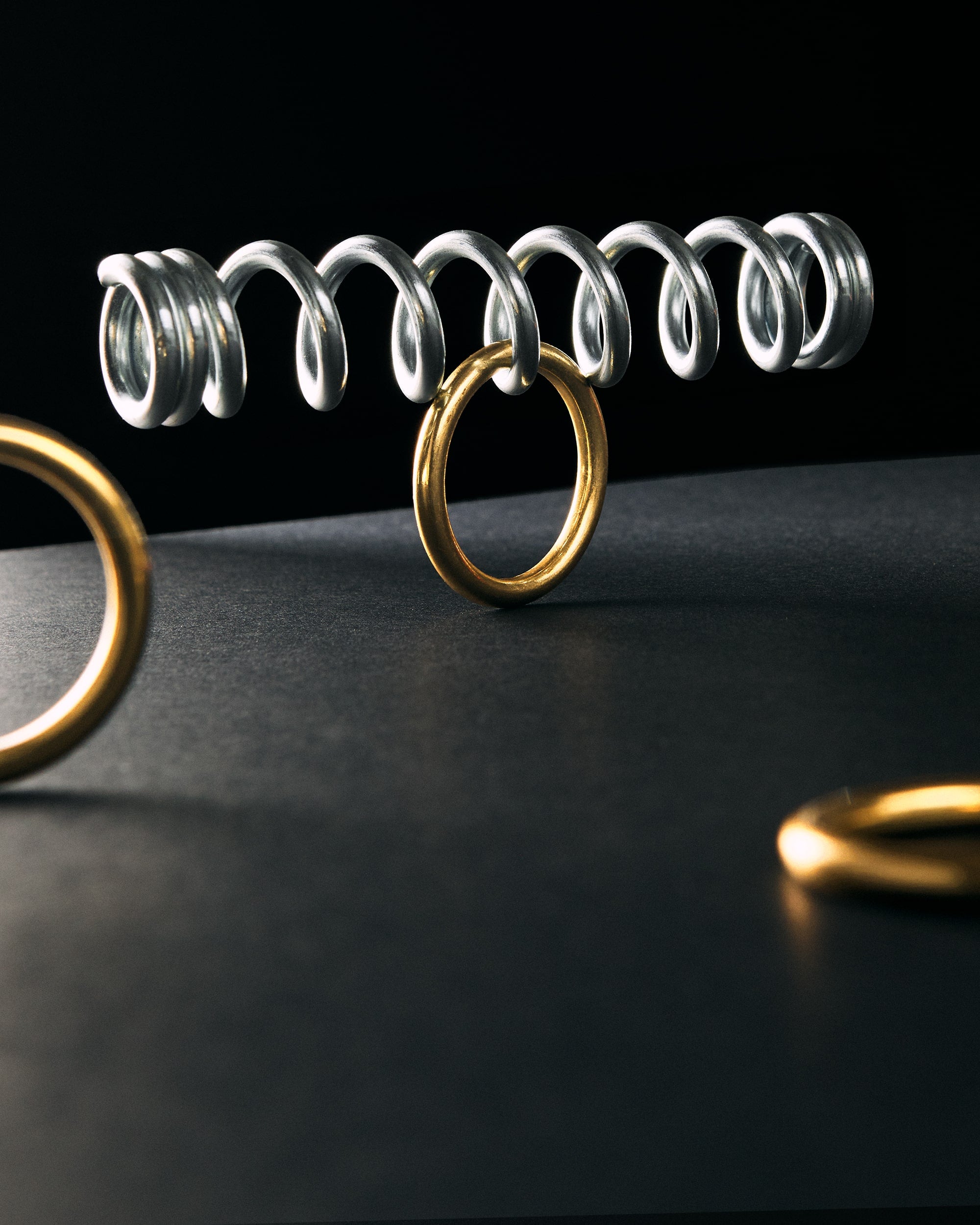 Ring & Spring Puzzle