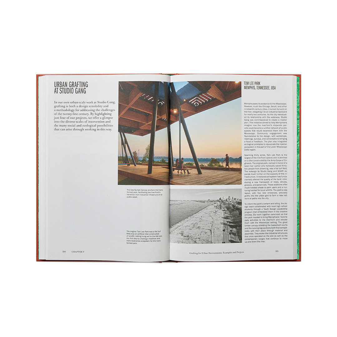 The Art Of Architectural Grafting
