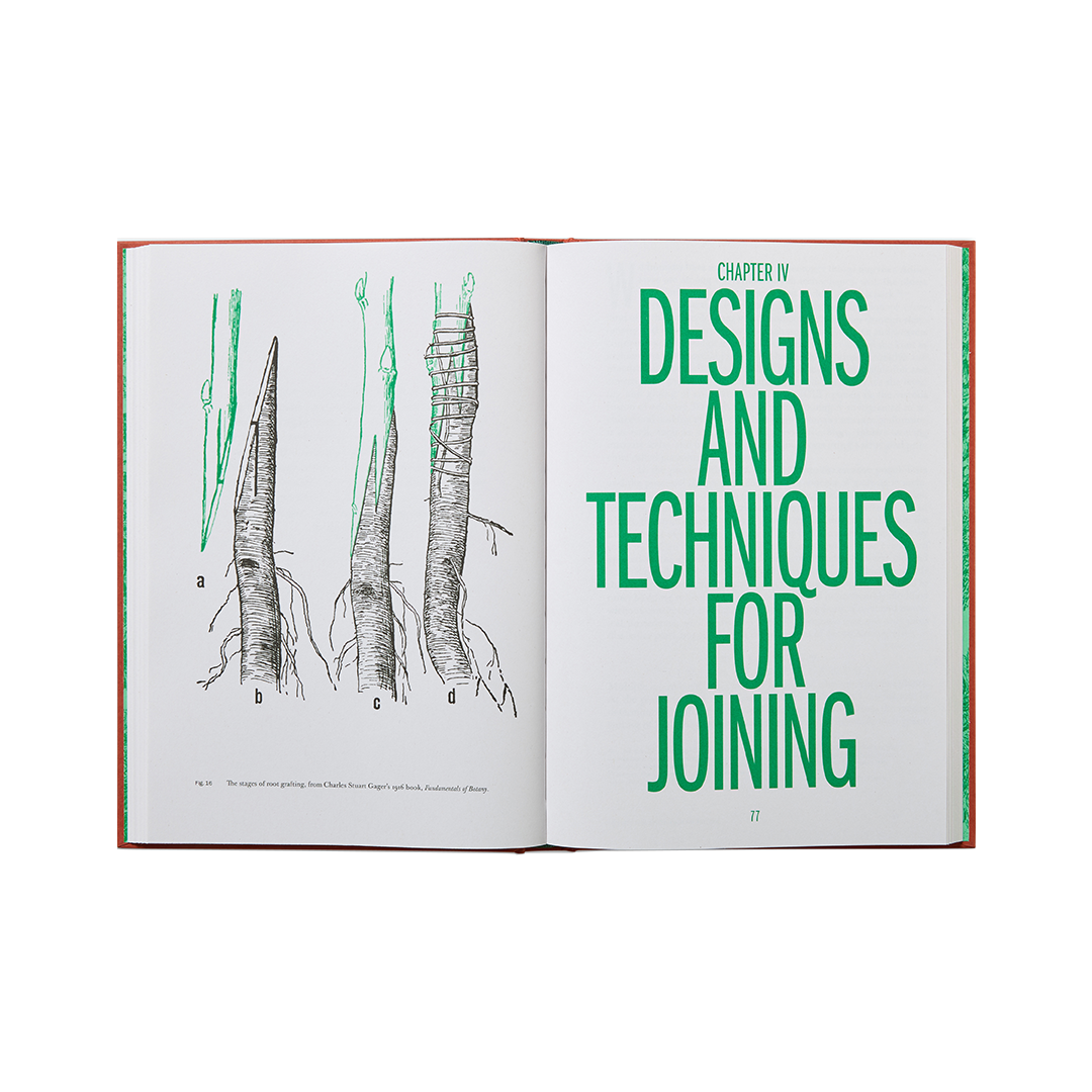 The Art Of Architectural Grafting