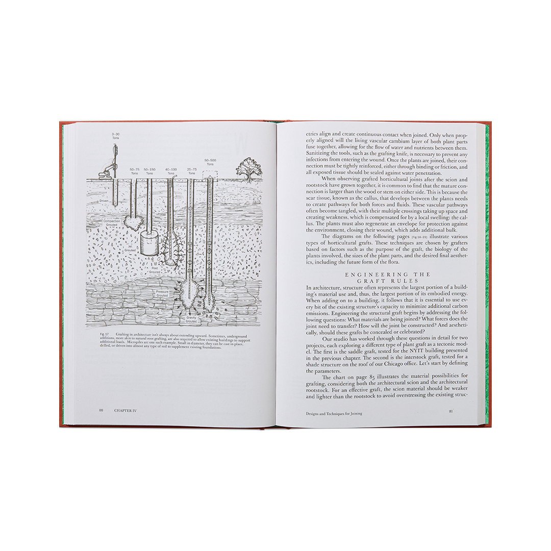 The Art Of Architectural Grafting