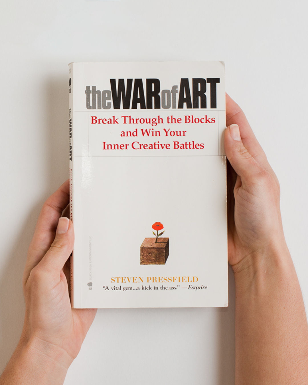 White book about art with a red flower