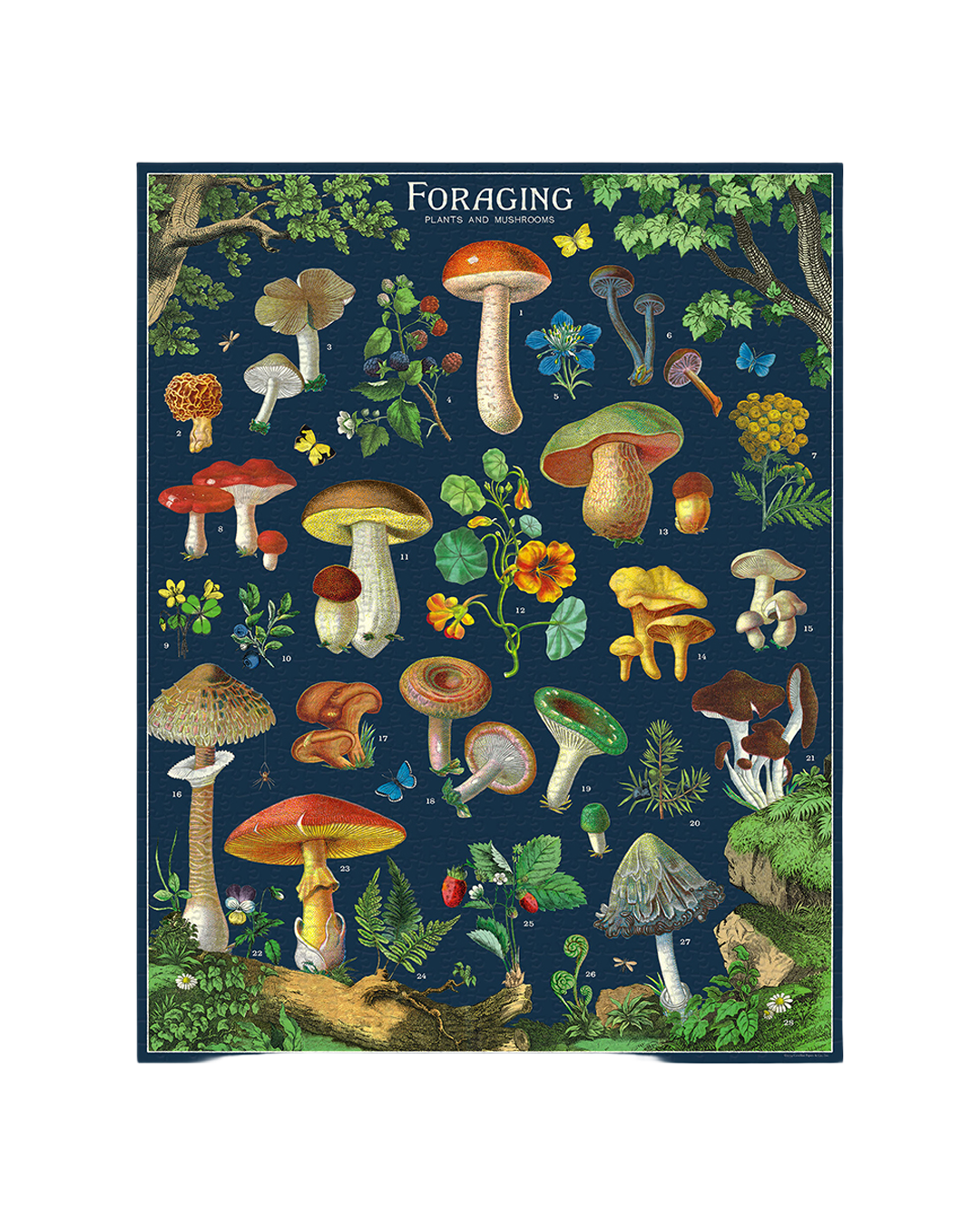 Vintage Foraging Puzzle