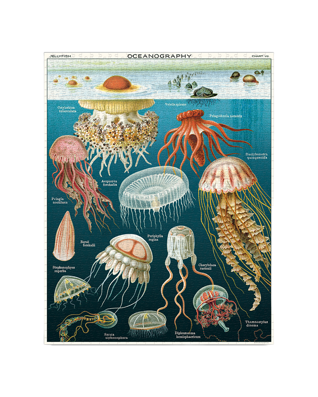 Vintage Jellyfish Puzzle