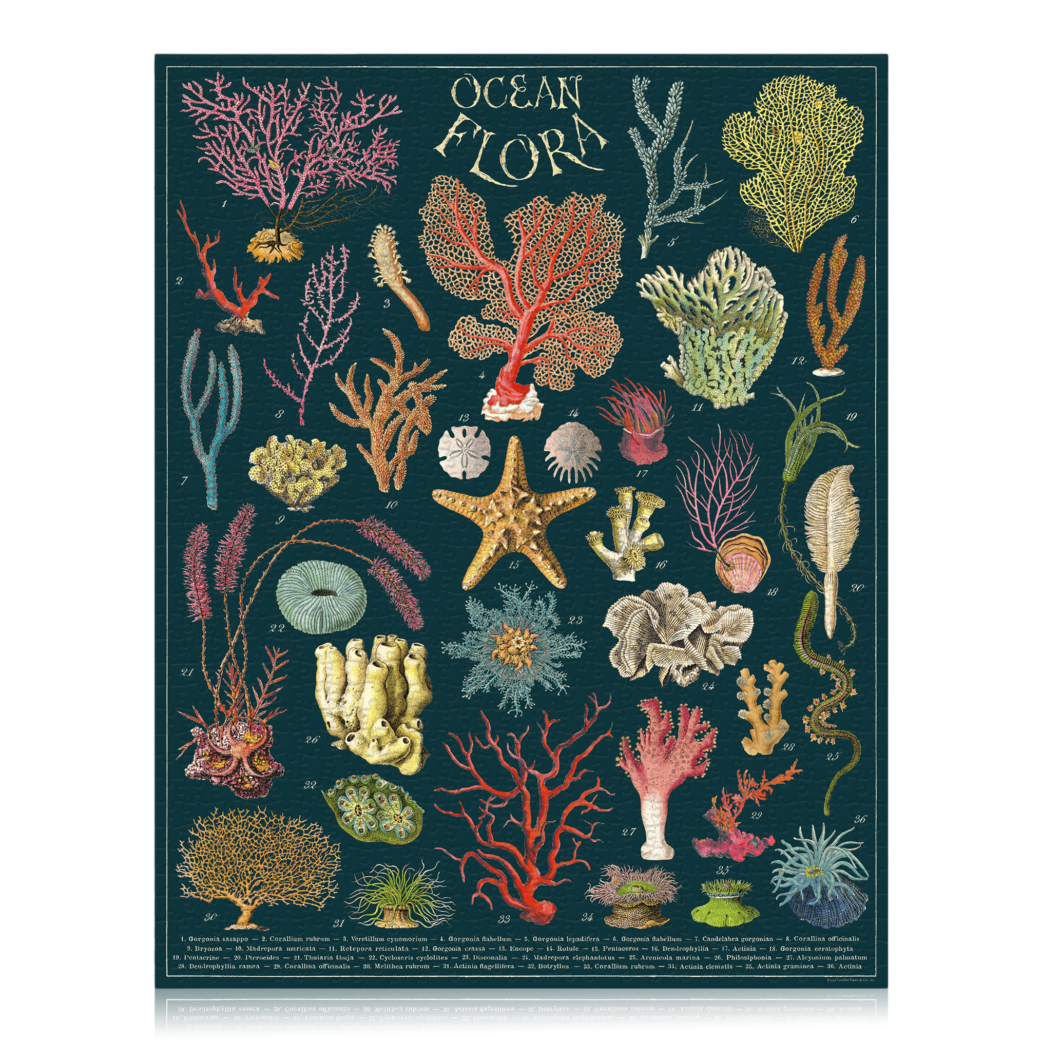 Vintage Ocean Flora Puzzle