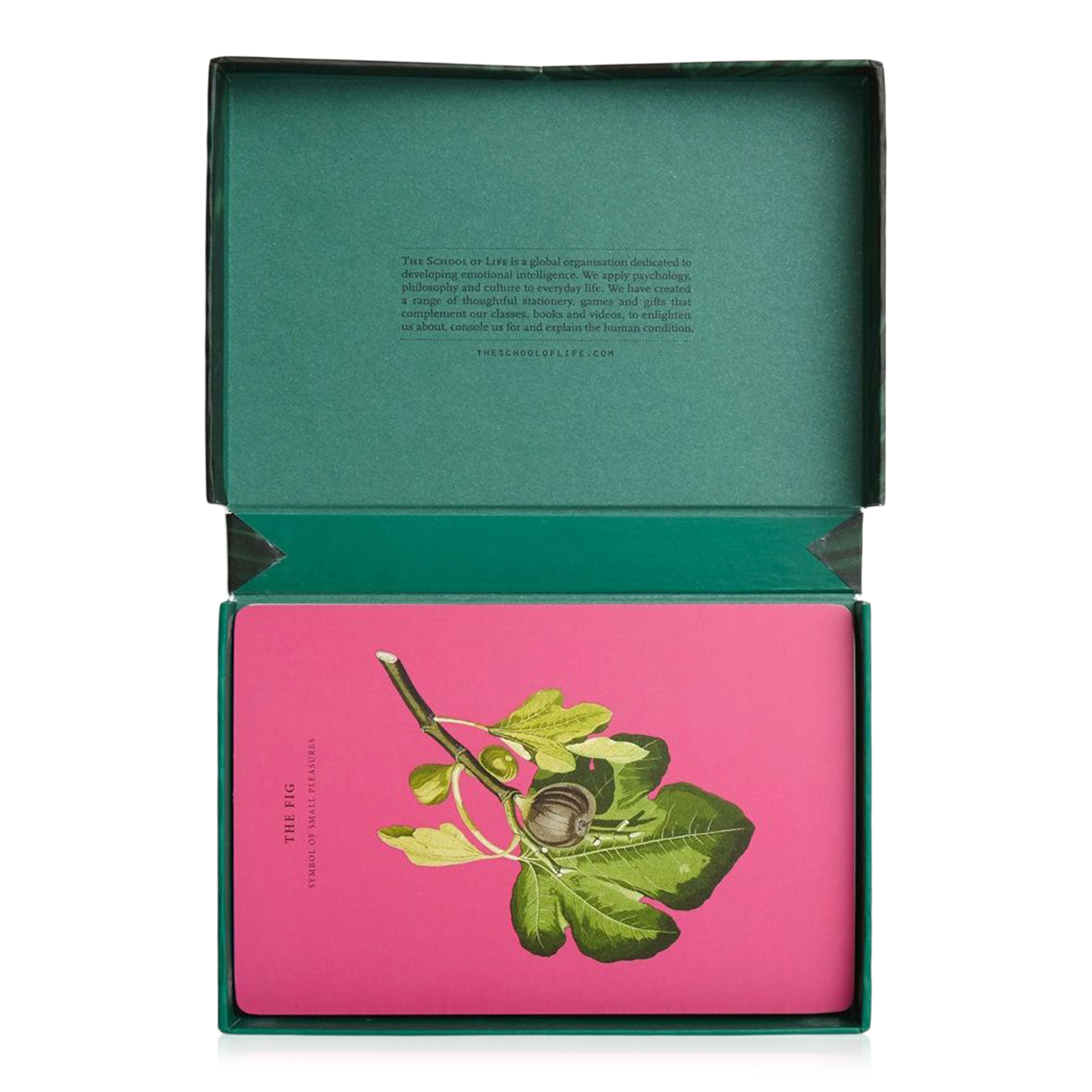 Wonder of Nature Card Set