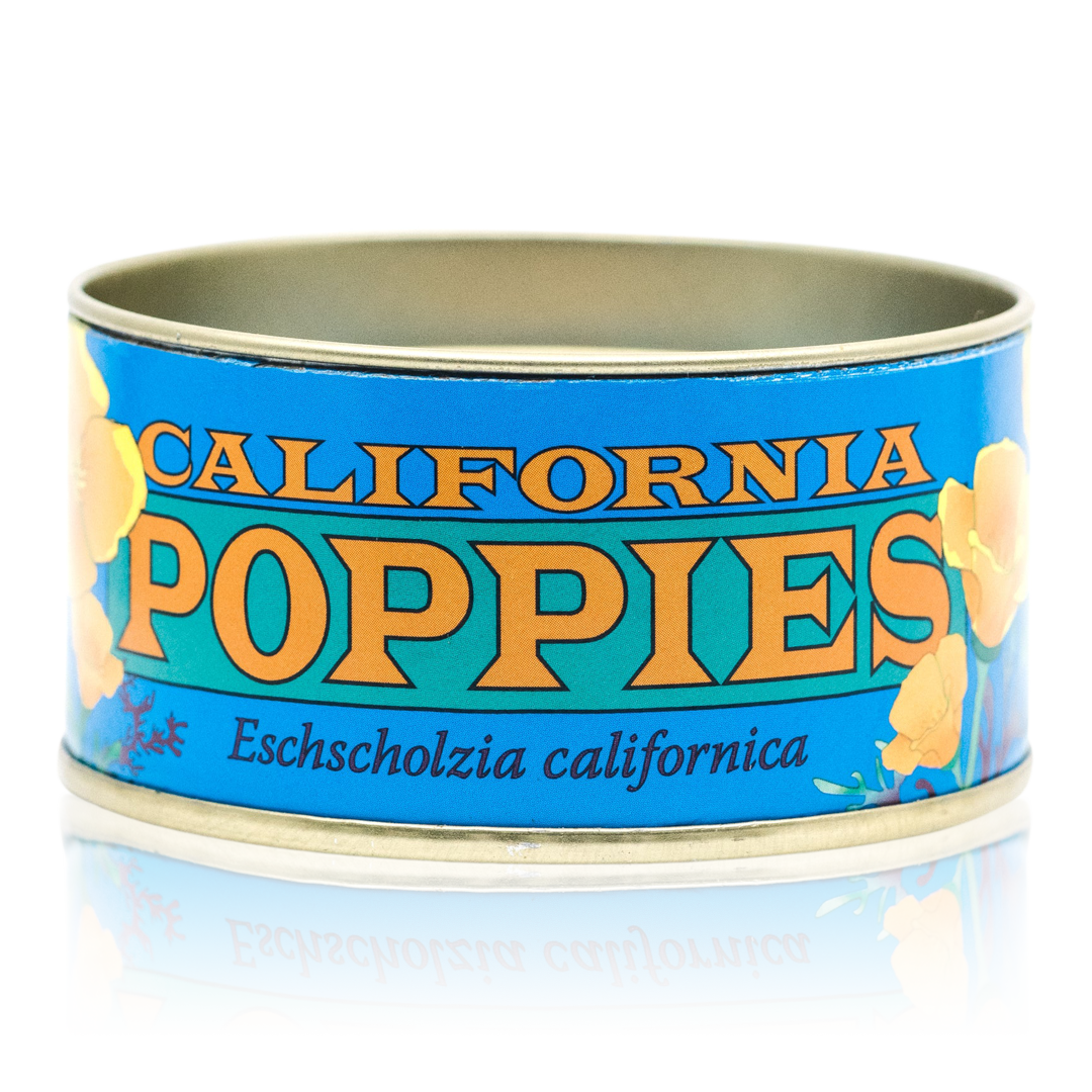 Seed Grow Kit: California Poppies