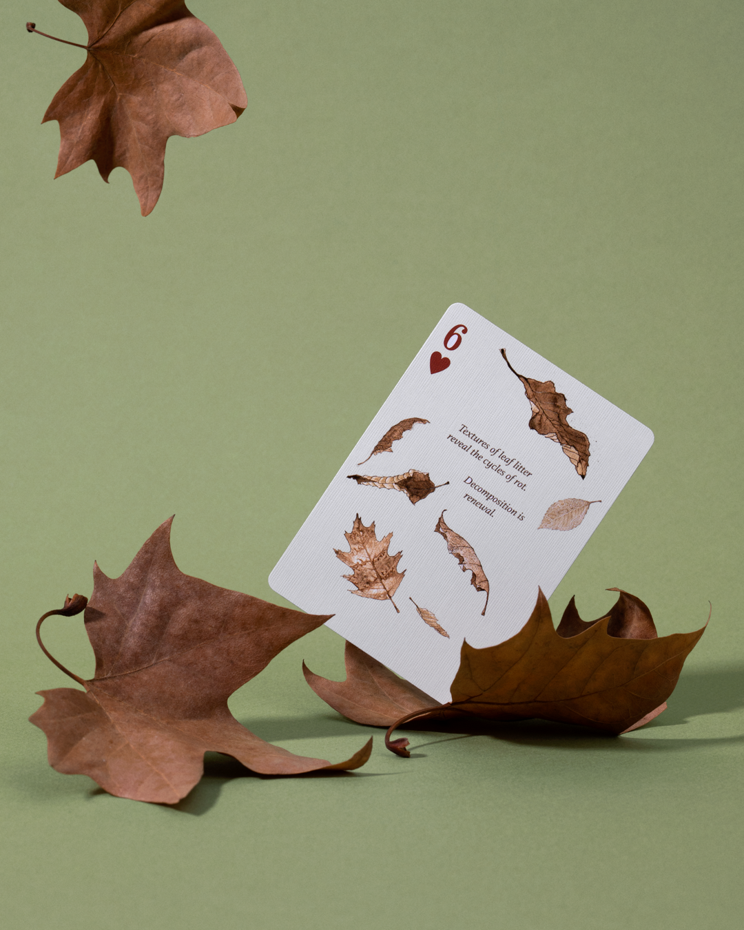 Eastern Forest Playing Cards