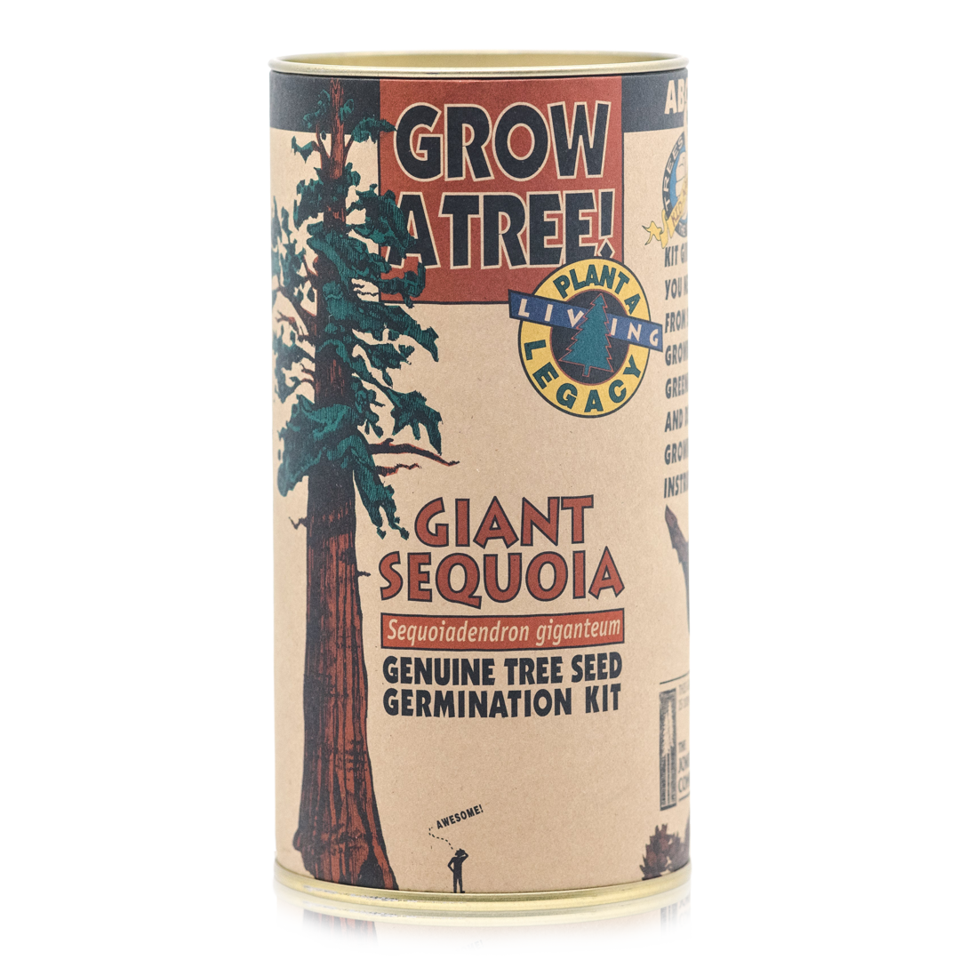 Seed Grow Kit Giant Sequoia