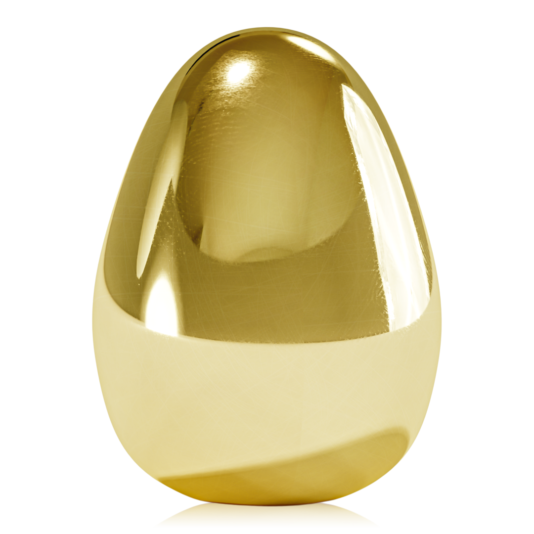 Thinking Egg