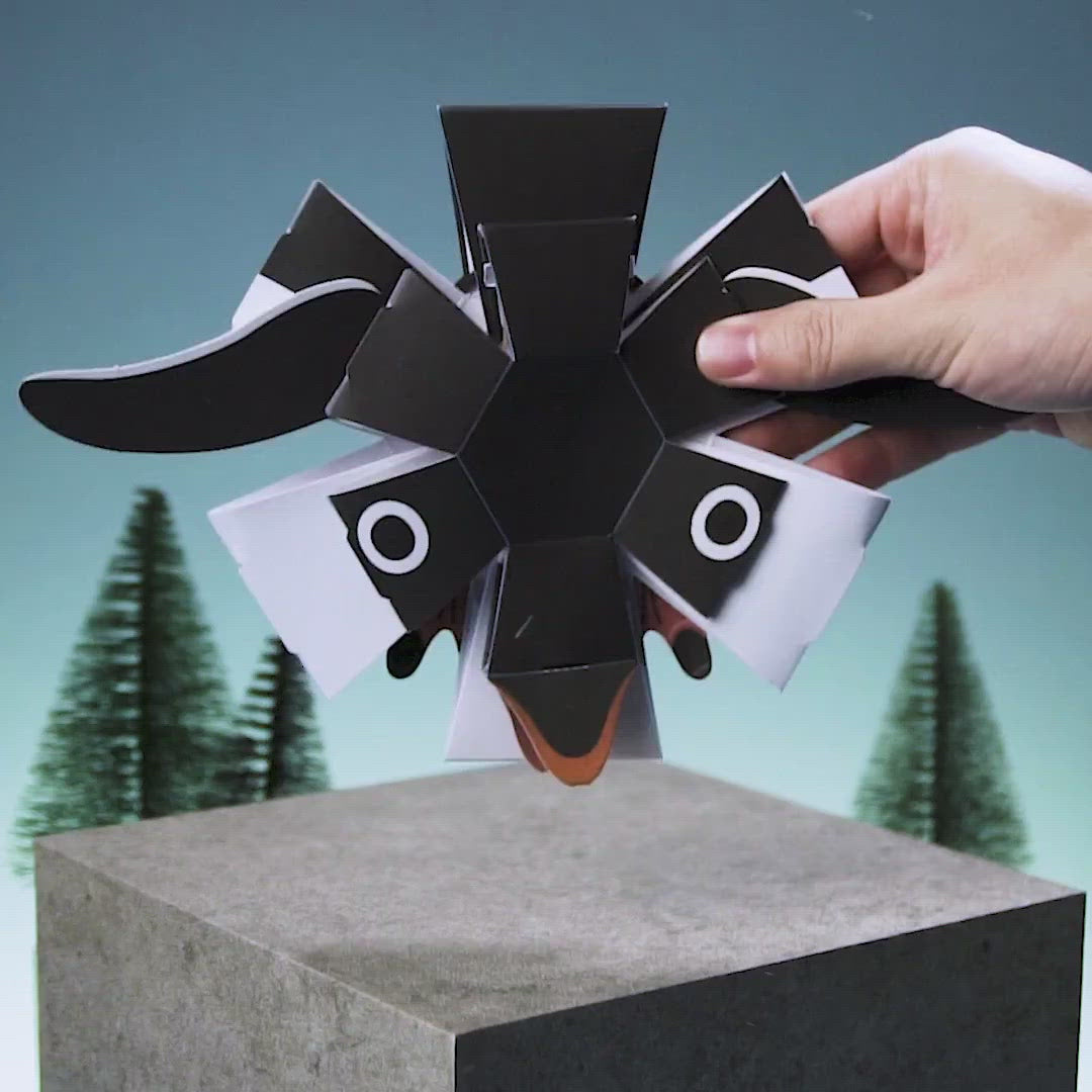Pop-Up Penguin Video