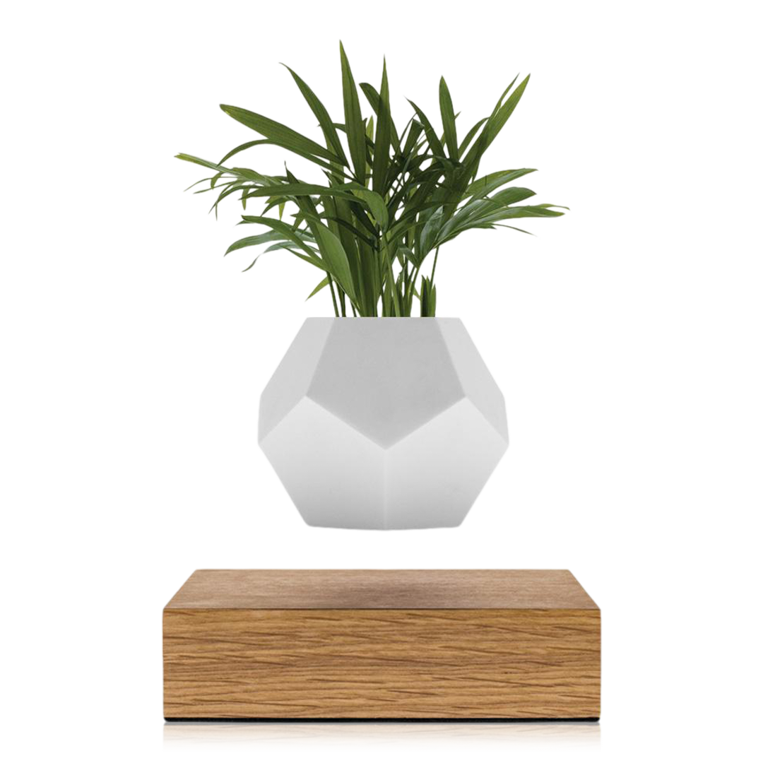 LYFE: Levitating Planter