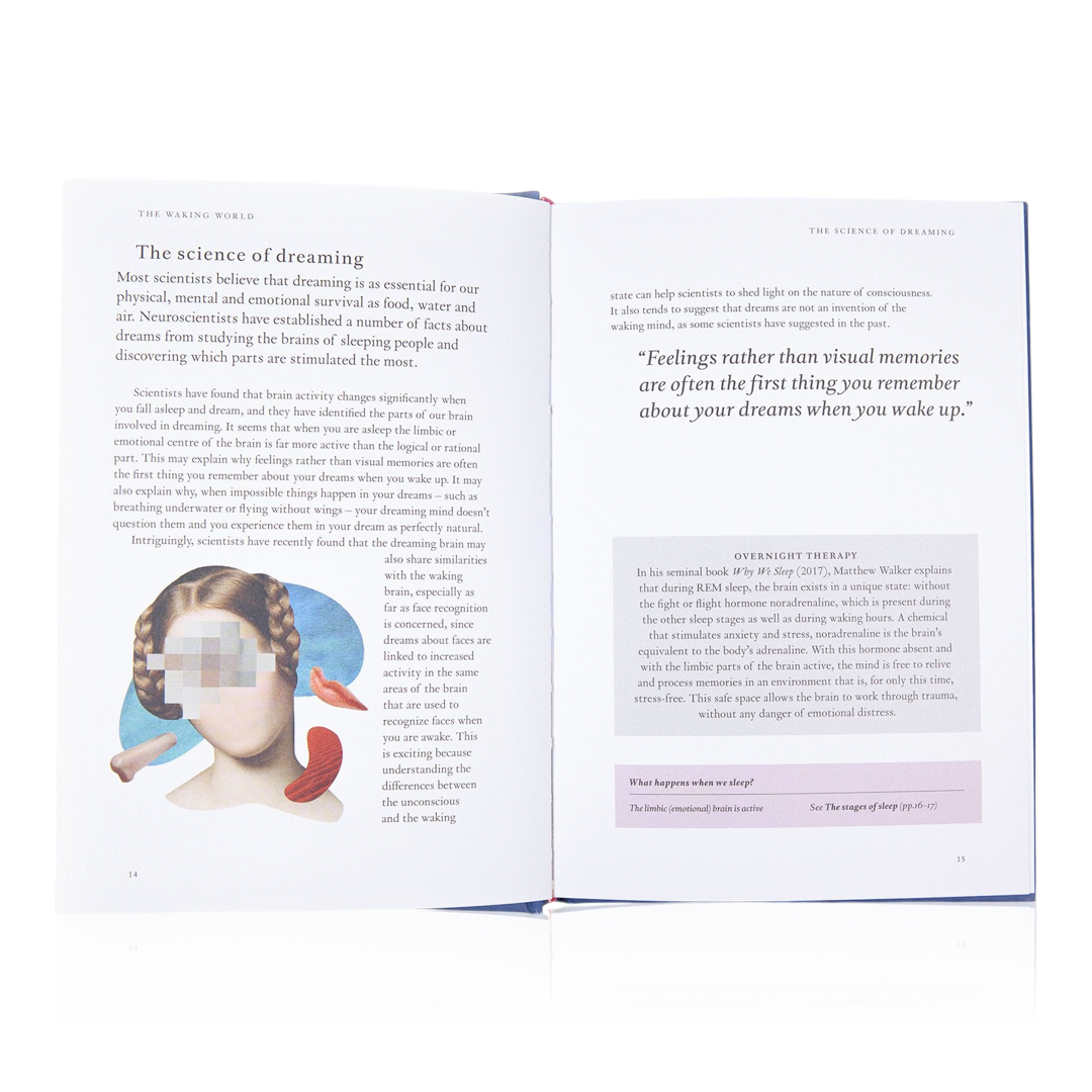 Night Vision: A Field Guide to Your Dreams
