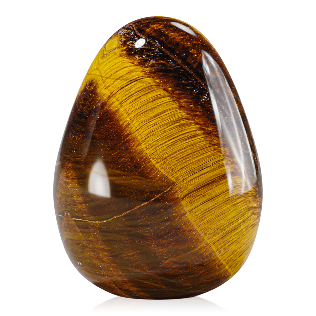Thinking Egg