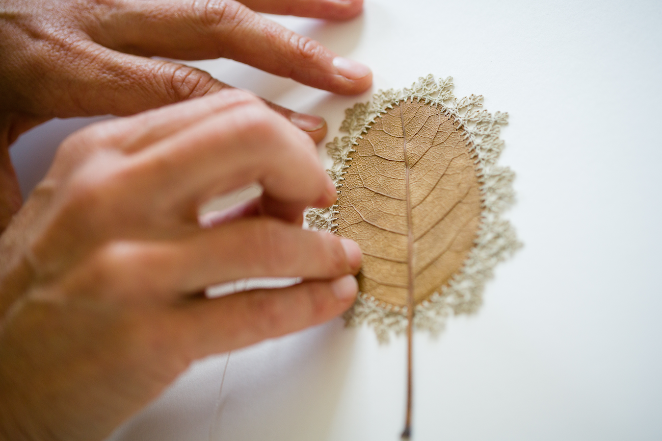 Susanna Bauer crocheting a magnolia leaf