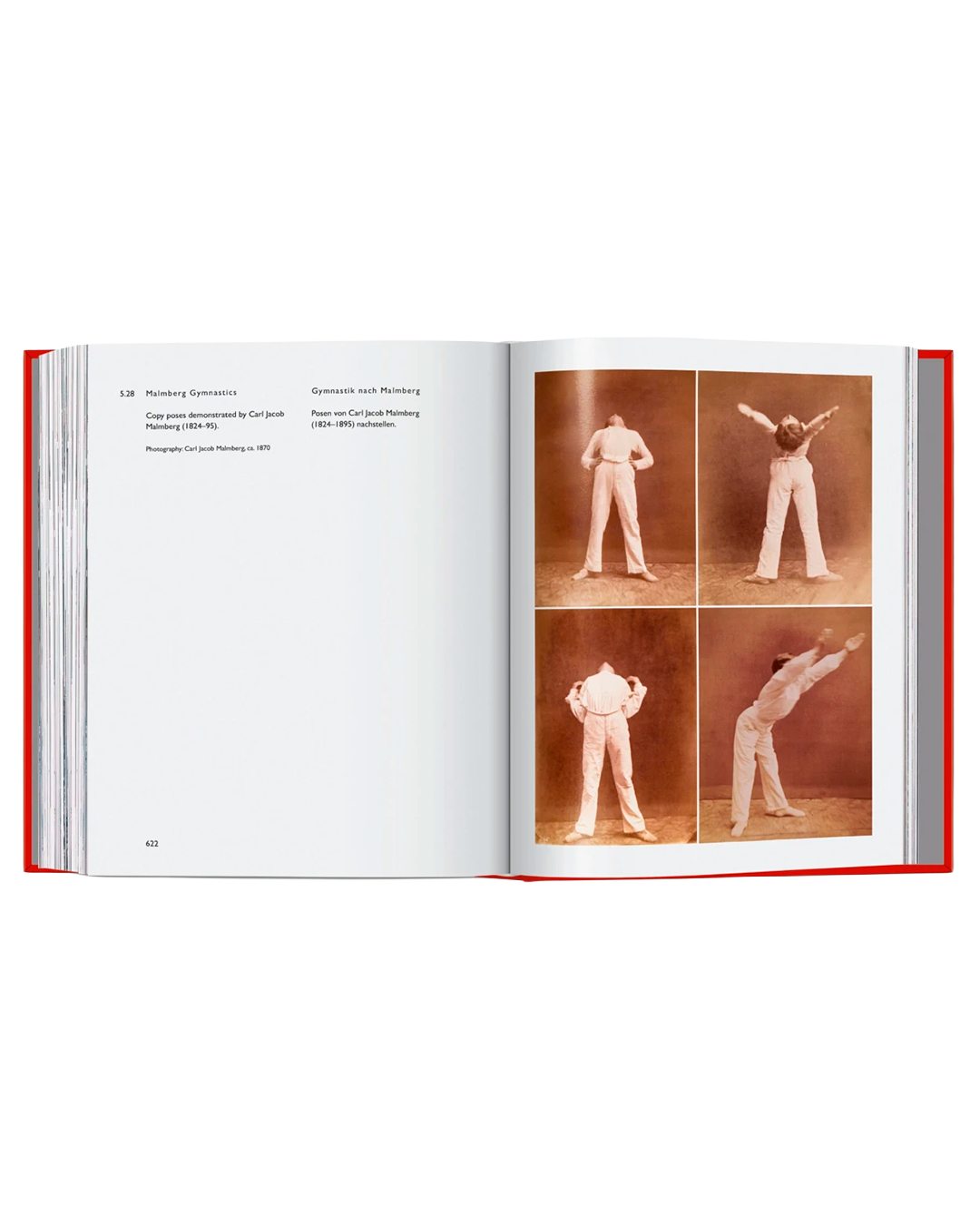 Carsten Höller. Book of Games