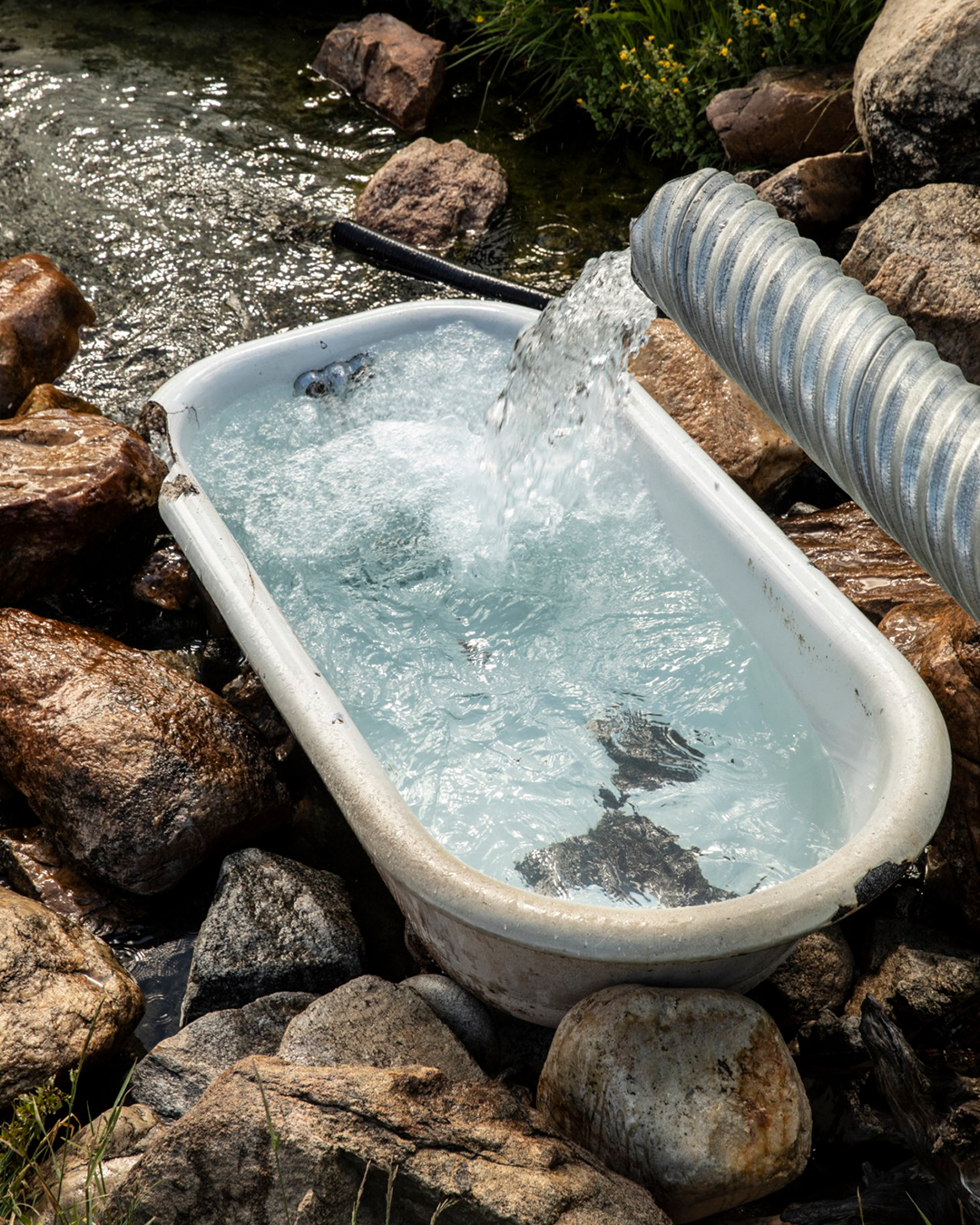 A white plastic tub filled with water, with a corrugated metal pipe pouring water into it, set among rocks near a stream.