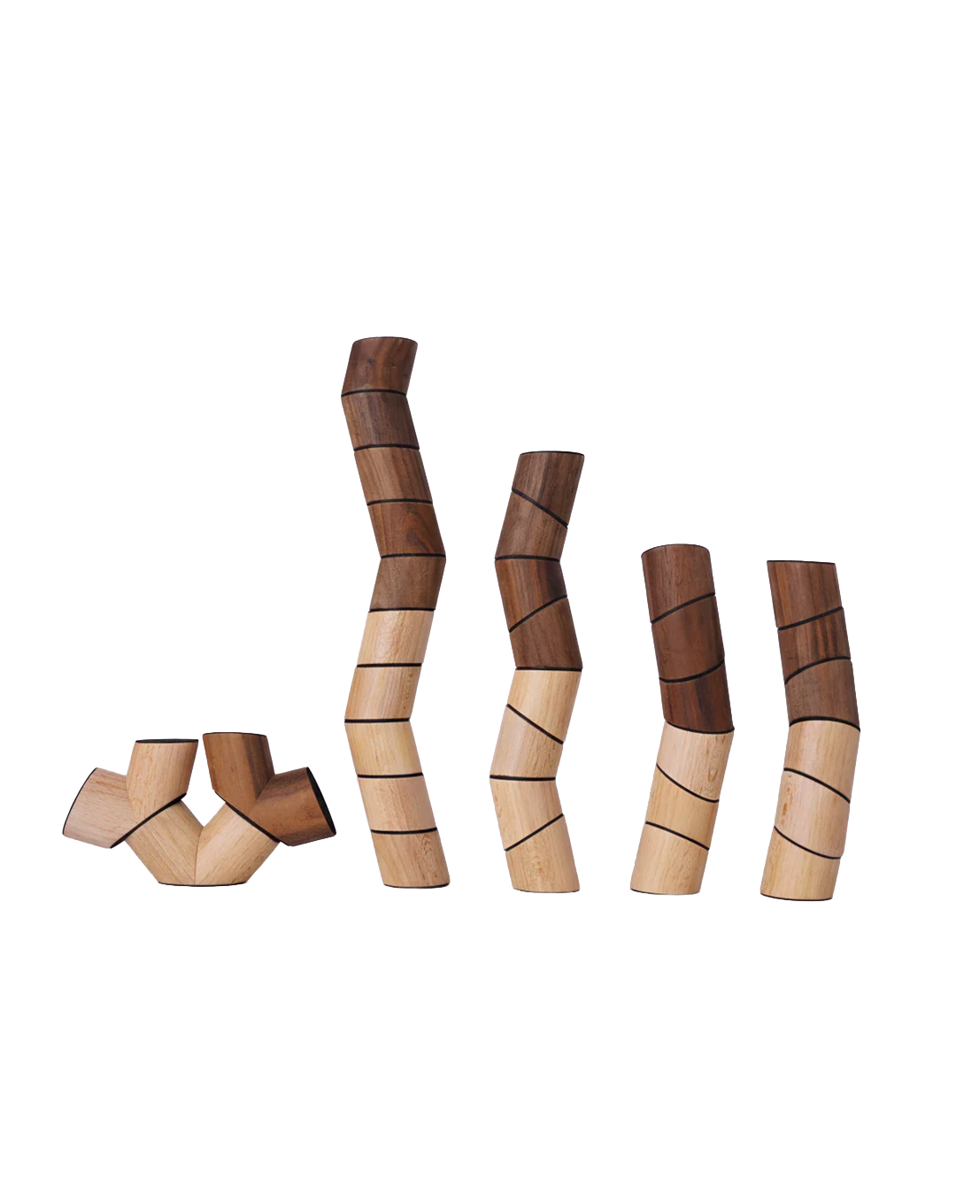 Wooden interlocking toys on a white background