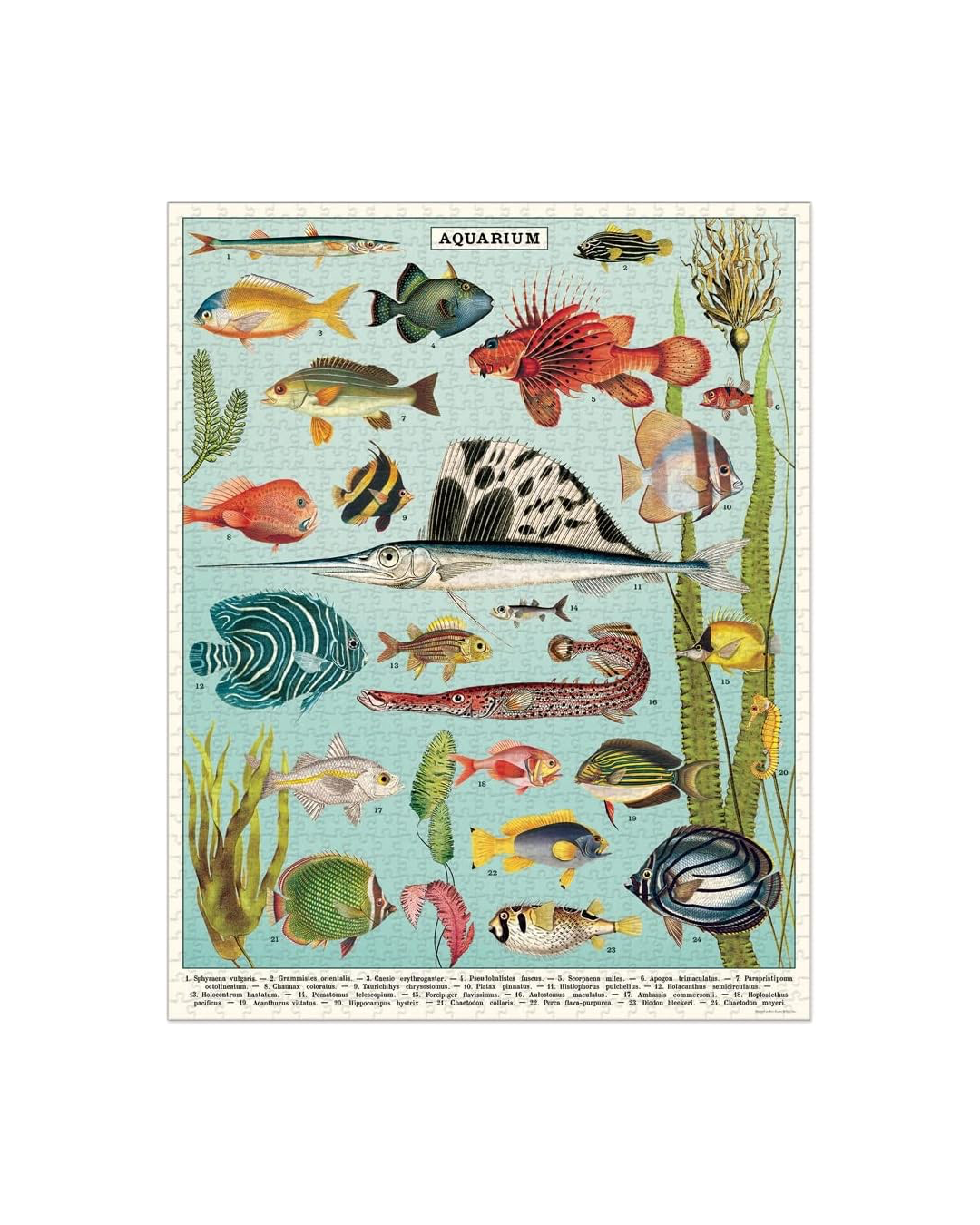 Vintage Aquarium Puzzle