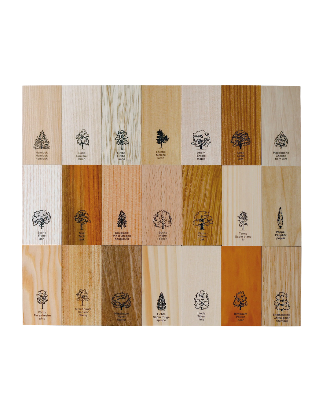 A grid of 18 natural wood swatches with engraved tree illustrations and text labels, arranged in three rows of six on a white background.
