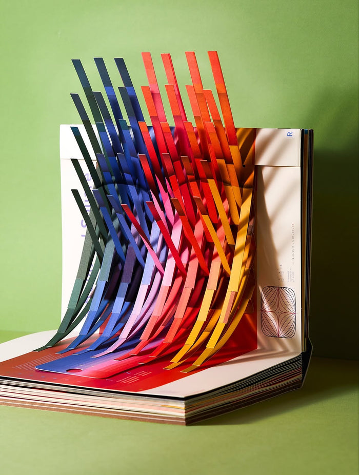 Alphabet in Motion: How Letters Get Their Shape by Kelli Anderson
