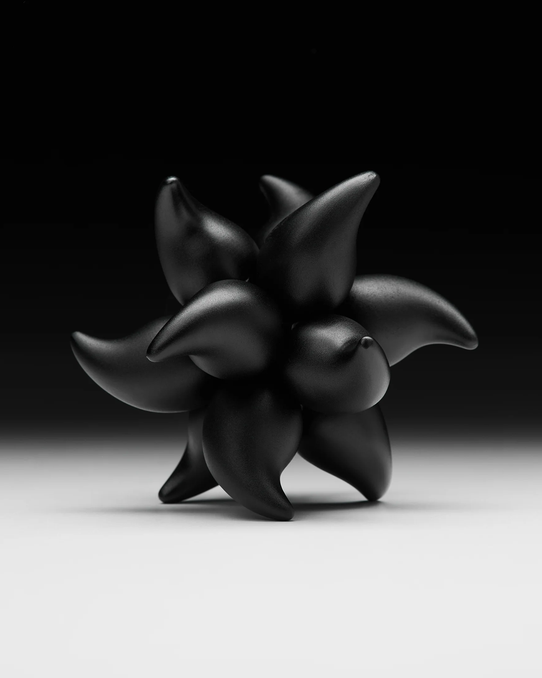 Black flower-like sculpture on a black background