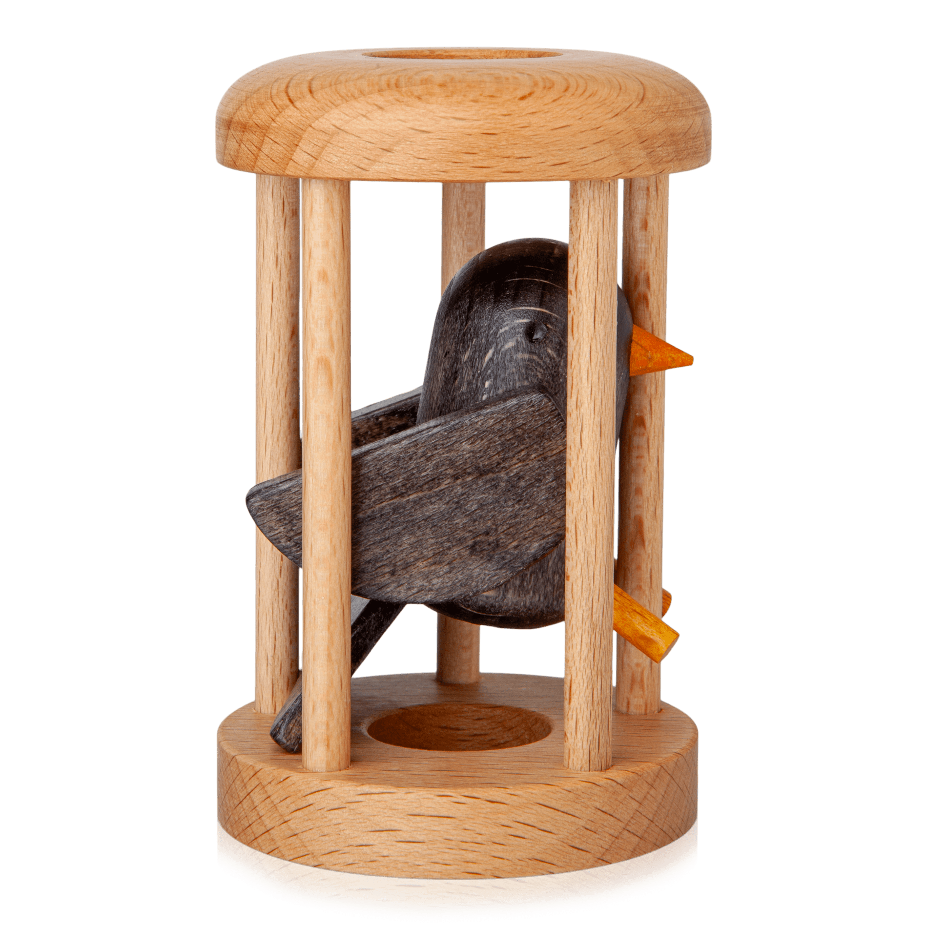 Bird in Cage Puzzle