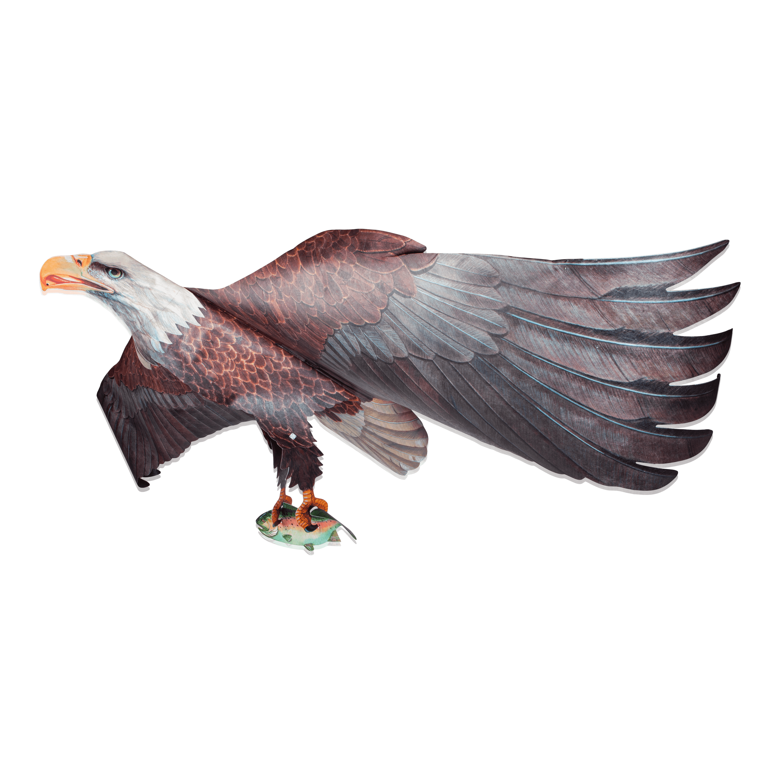 Bird Kites - Bald Eagle