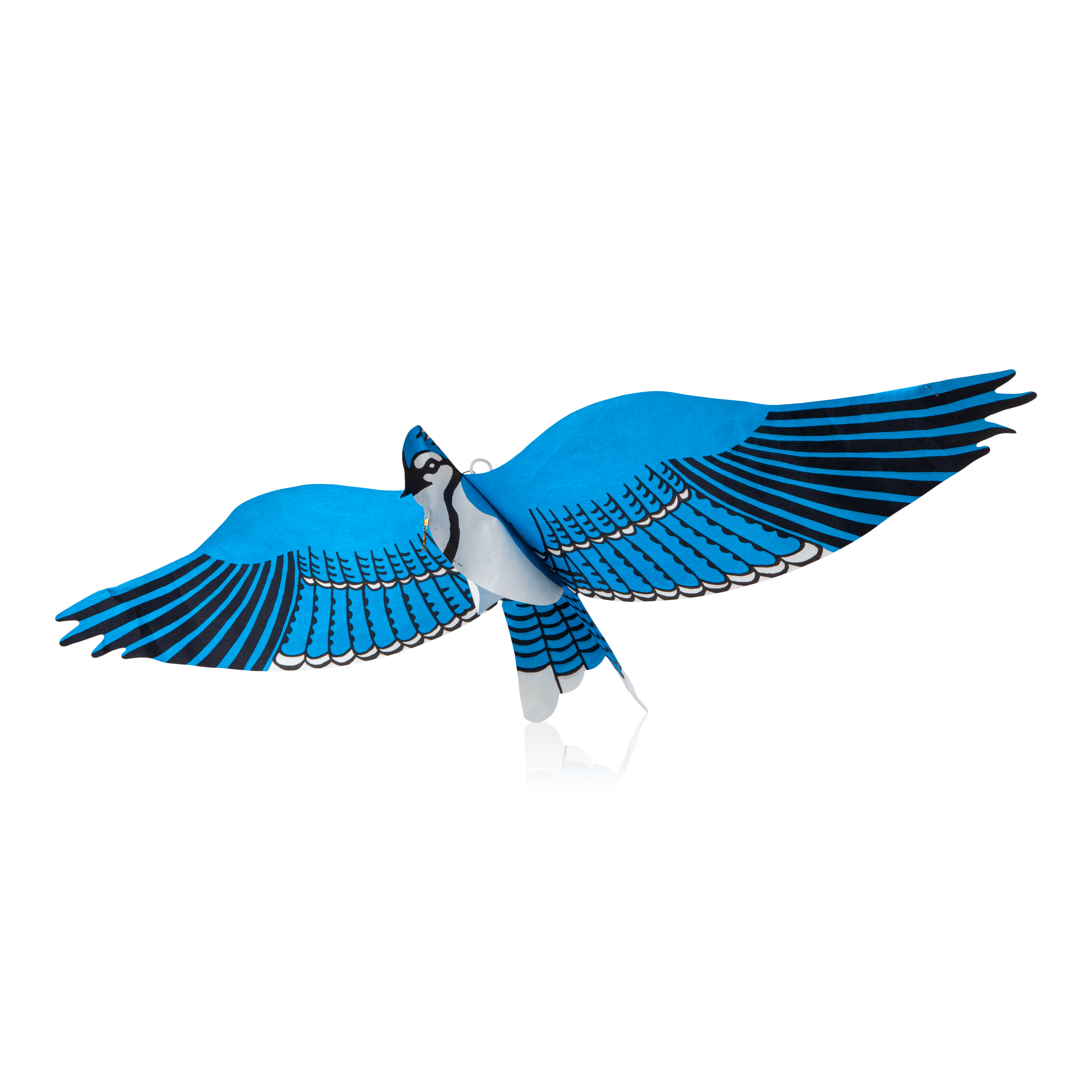 Bird Kites - Blue Jay