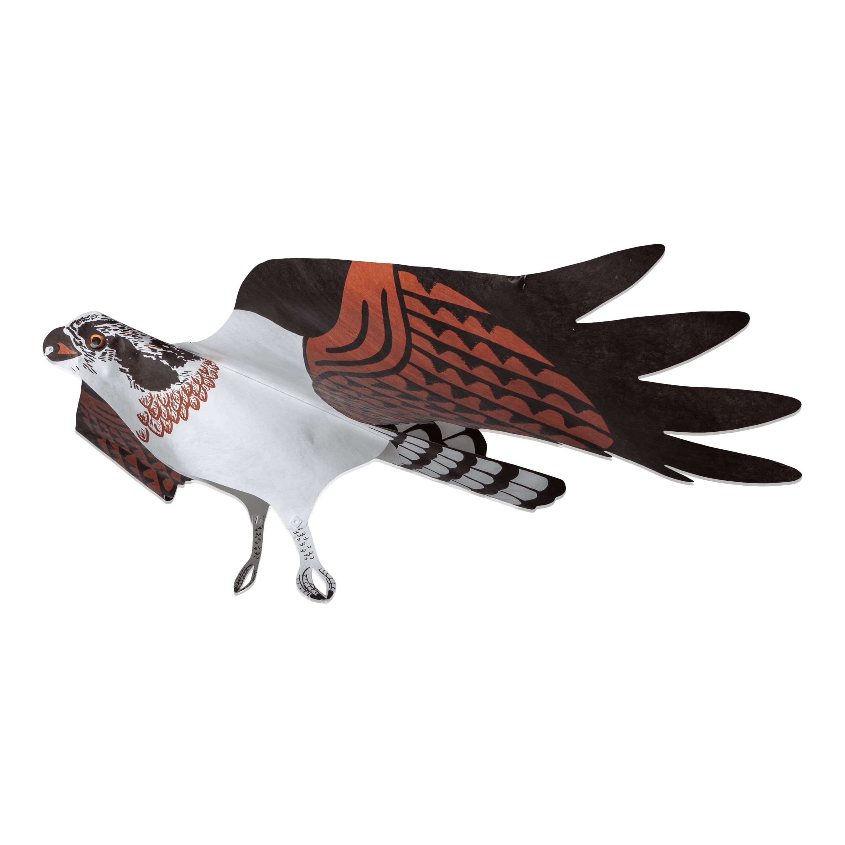 Bird Kites - Osprey