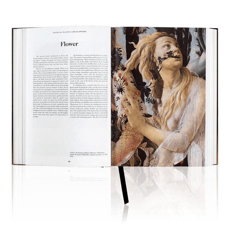 Symbolism Book Examples The Book of Symbols - Reflections on Archetypal Images