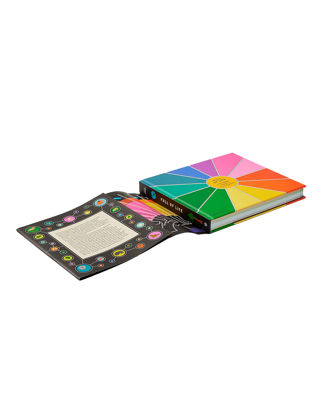 Colorful book with a wheel of fortune design on a white background