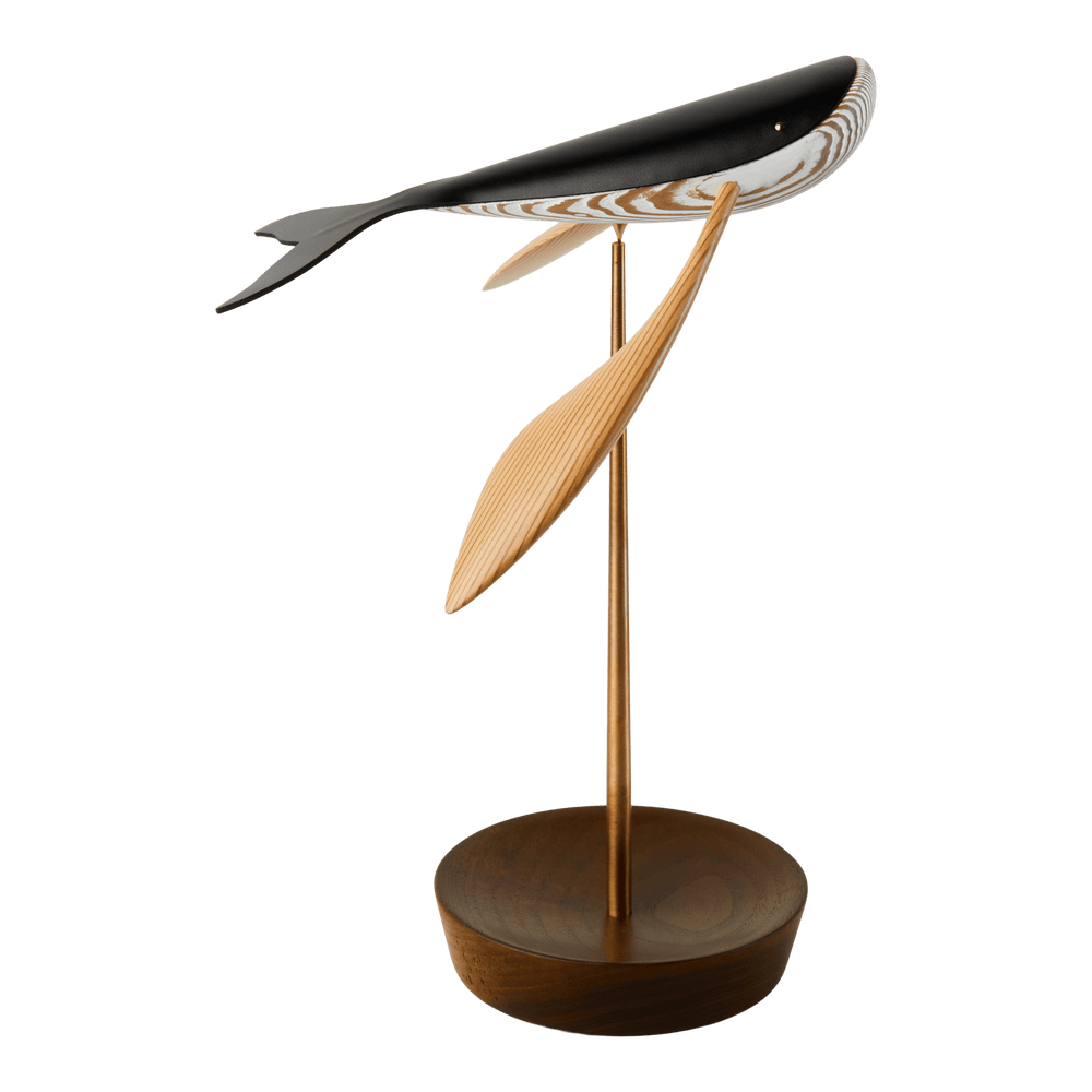 kamatymoon 鎌田光司　フェネック 鎌田光司(kamatymoon) (@kamatymoon) / X