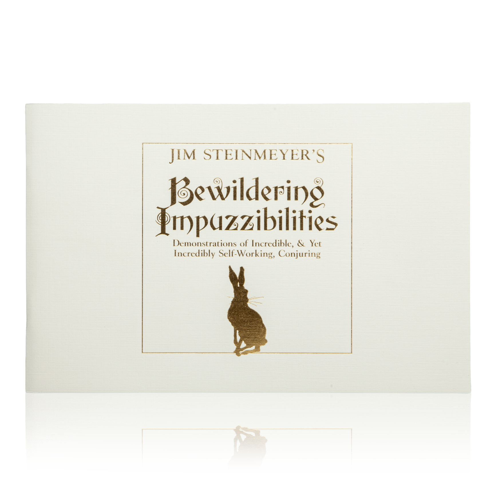 Impuzzibilities by Jim Steinmeyer