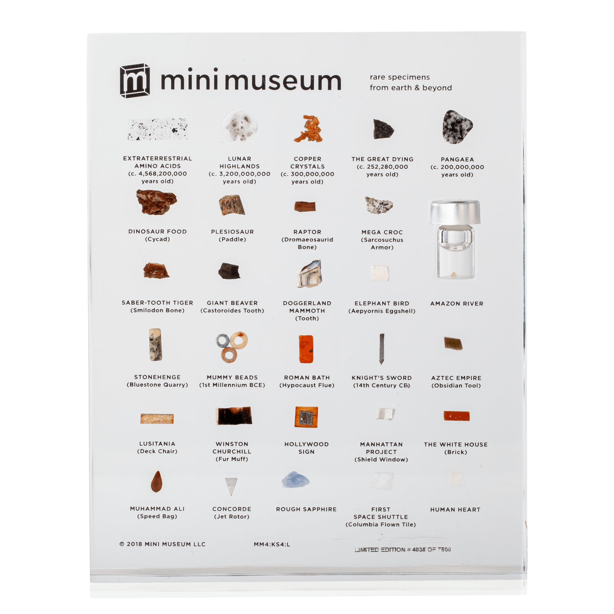 Mini Museum - Rare Specimens from Earth and Beyond!