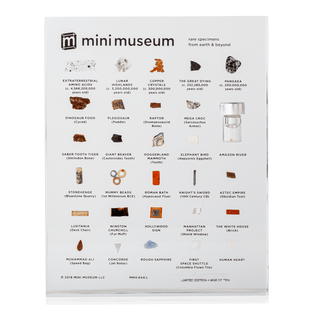 Mini Museum - Rare Specimens from Earth and Beyond! - Art of Play