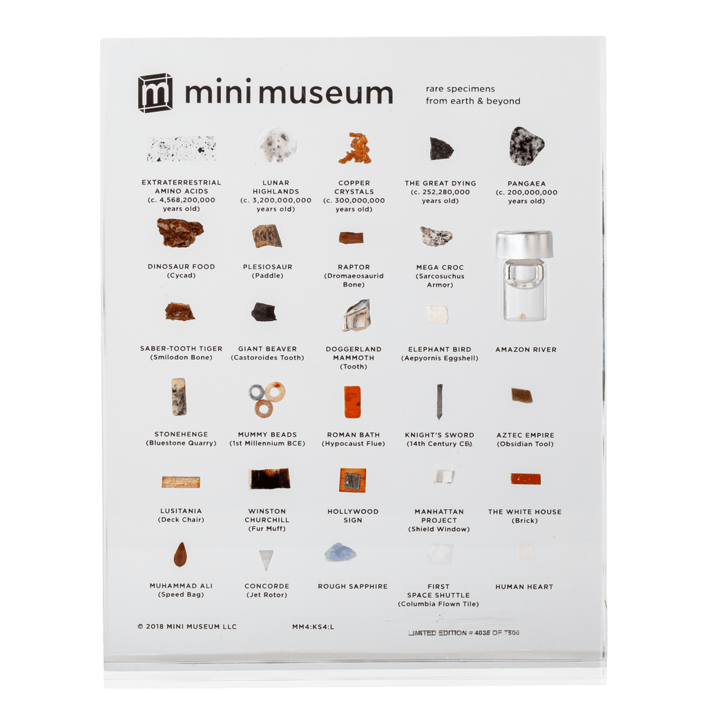 mini-museum-rare-specimens.png