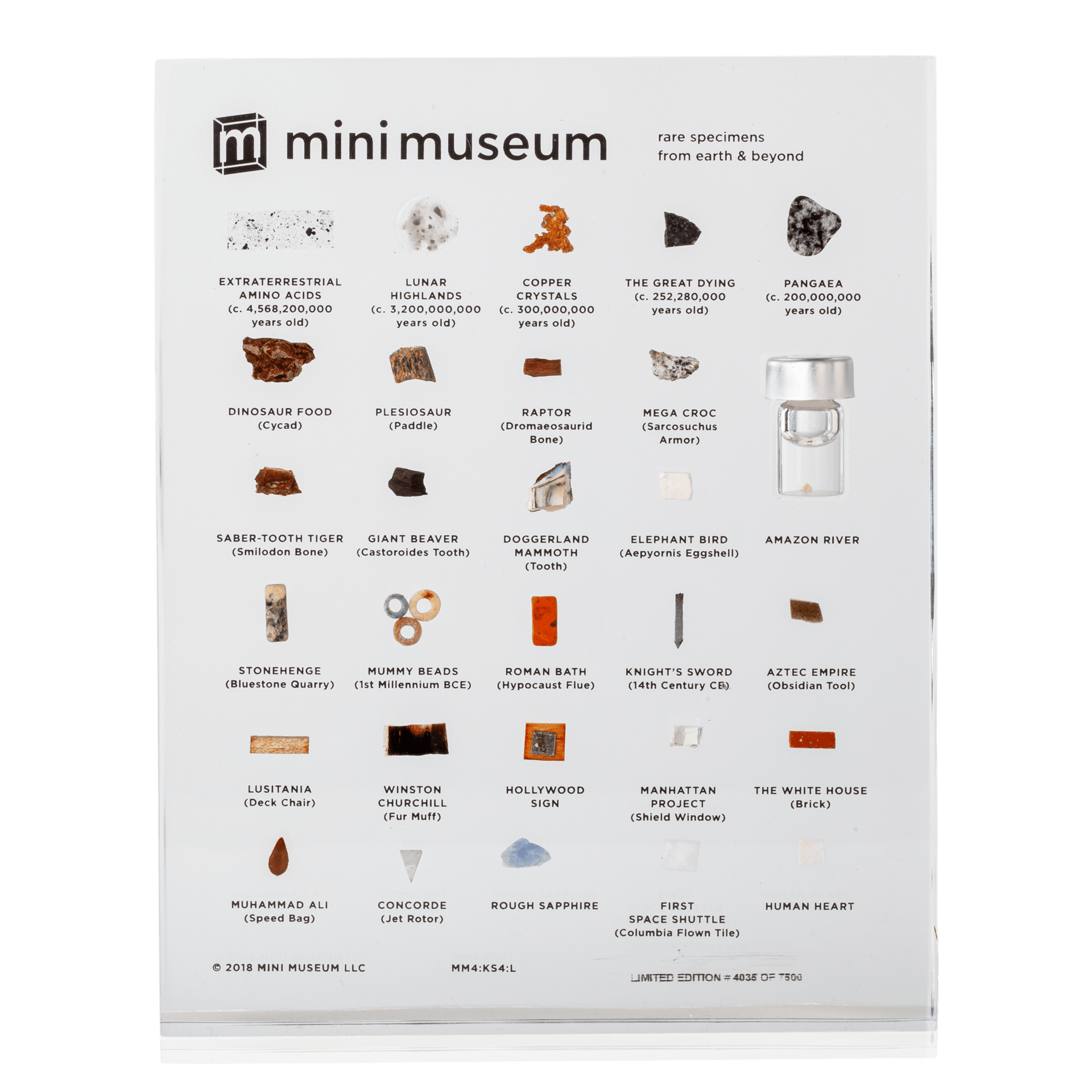 置物 out of museum mini-museum-rare-specimens.png
