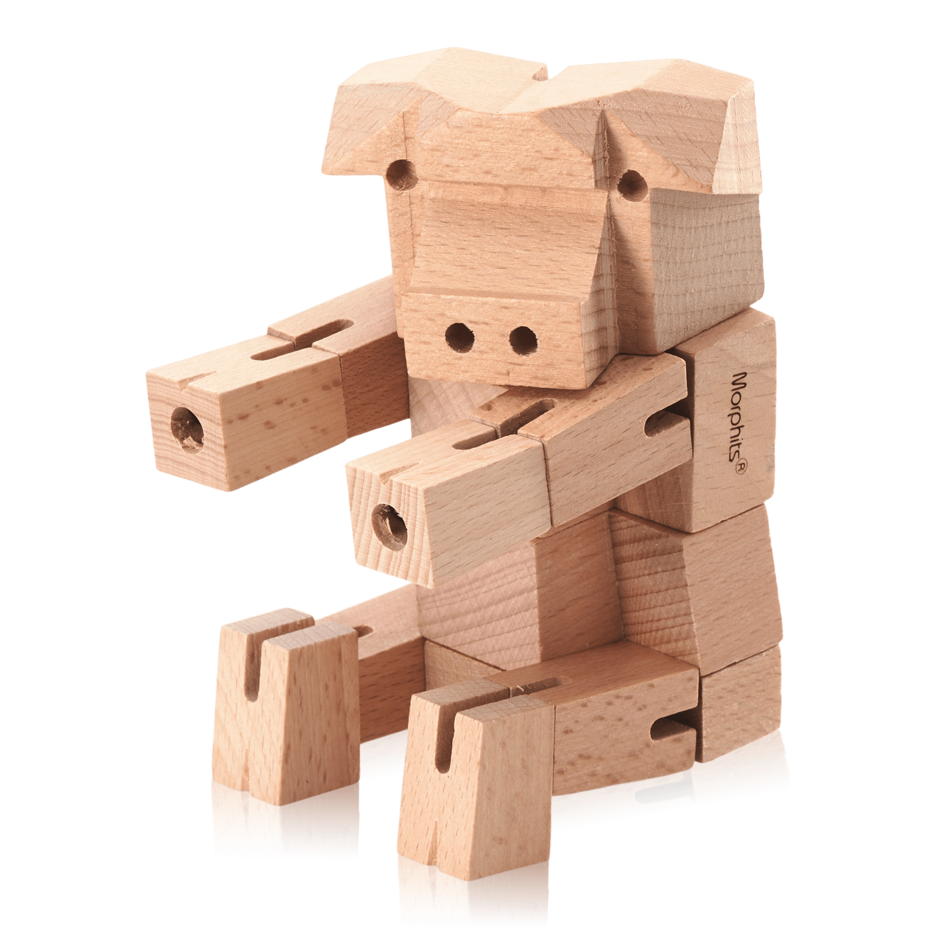 Morphits Puzzle Toy - Pig