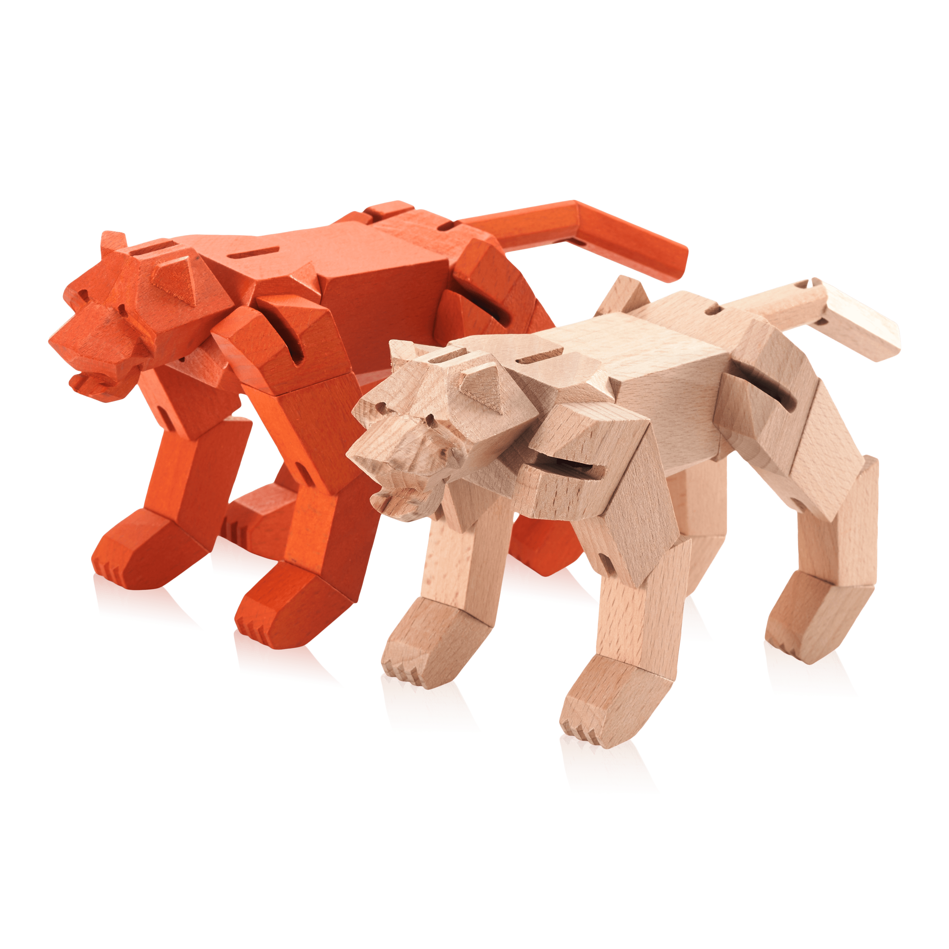 Morphits Tiger