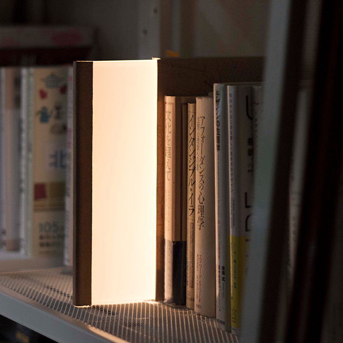 Nightbook Book Light